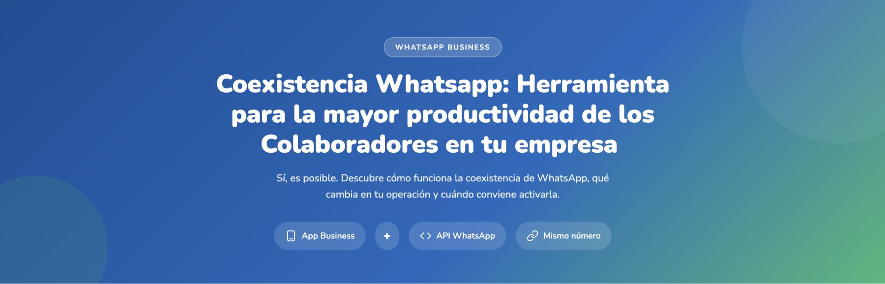 articulo principal